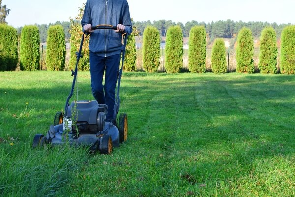 Lawn Care (mowing, mulching)